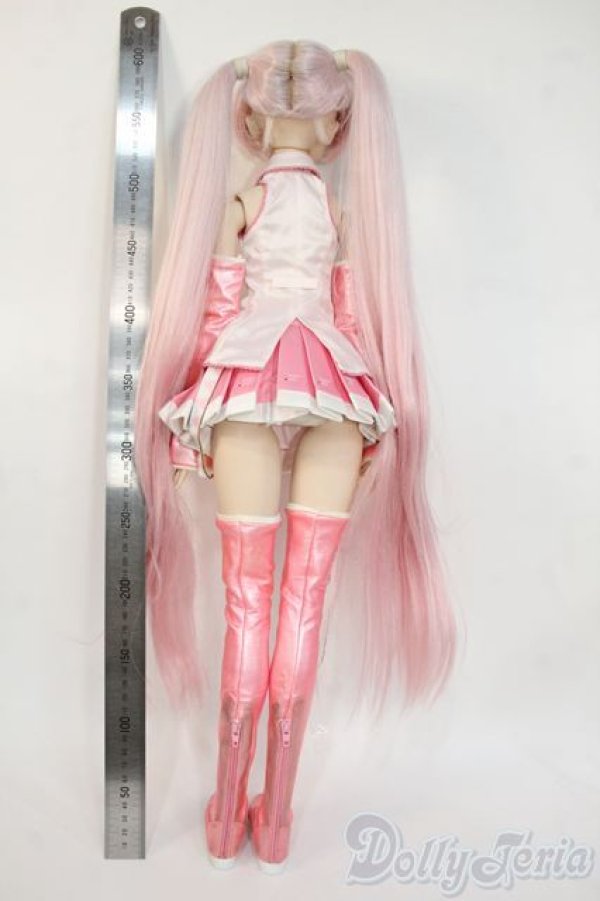 画像6: DD/桜ミク2.0 Y-26-02-04-122-WT-ZY (6)