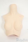 画像1: DD/上半身パーツ　M胸 Y-26-02-04-140-WT-ZY (1)