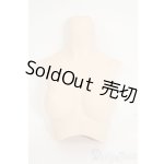 画像: DD/上半身パーツ　M胸 Y-26-02-04-140-WT-ZY