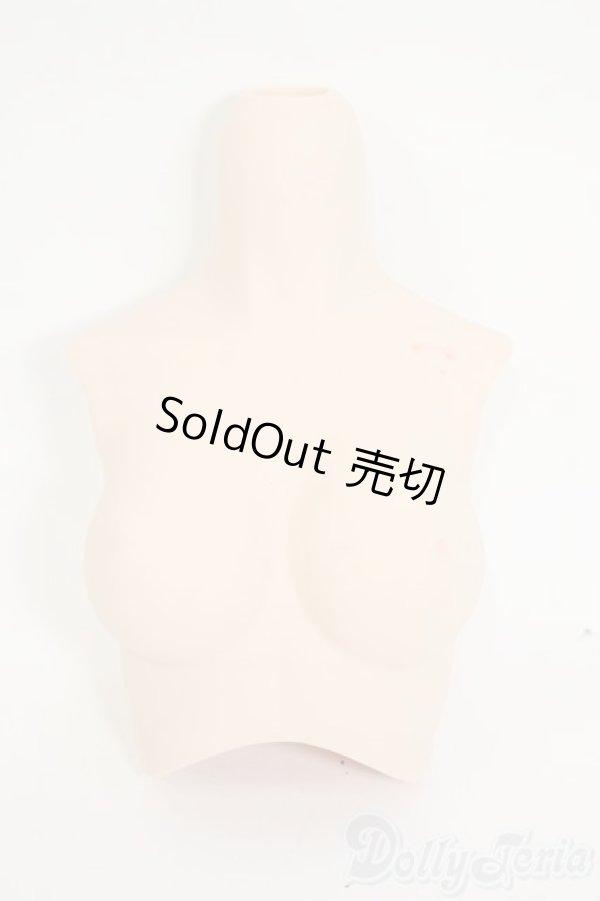 画像1: DD/上半身パーツ　M胸 Y-26-02-04-140-WT-ZY (1)