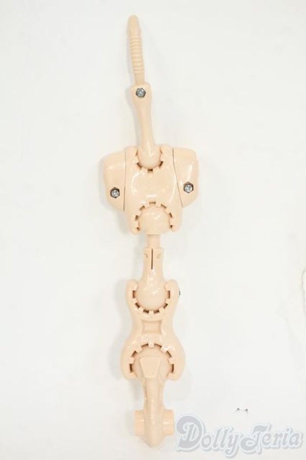 画像1: DD/上半身　フレーム Y-26-02-04-138-WT-ZY (1)