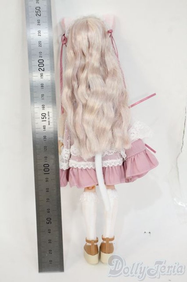 画像3: azone/からふるDreamin'：朝比奈幸穂?A Gift from M.K.~(白猫ver.) Y-26-02-04-078-WT-ZY (3)