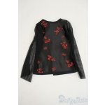 画像: SD17B/OF:トップス Y-26-02-04-235-WT-ZY