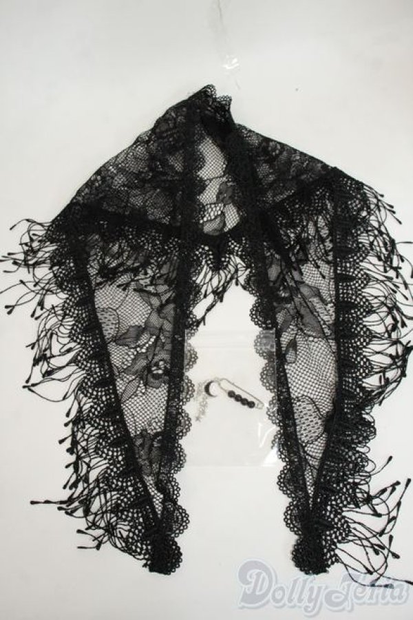 画像1: DD/OF:小物 Y-26-02-04-248-WT-ZY (1)