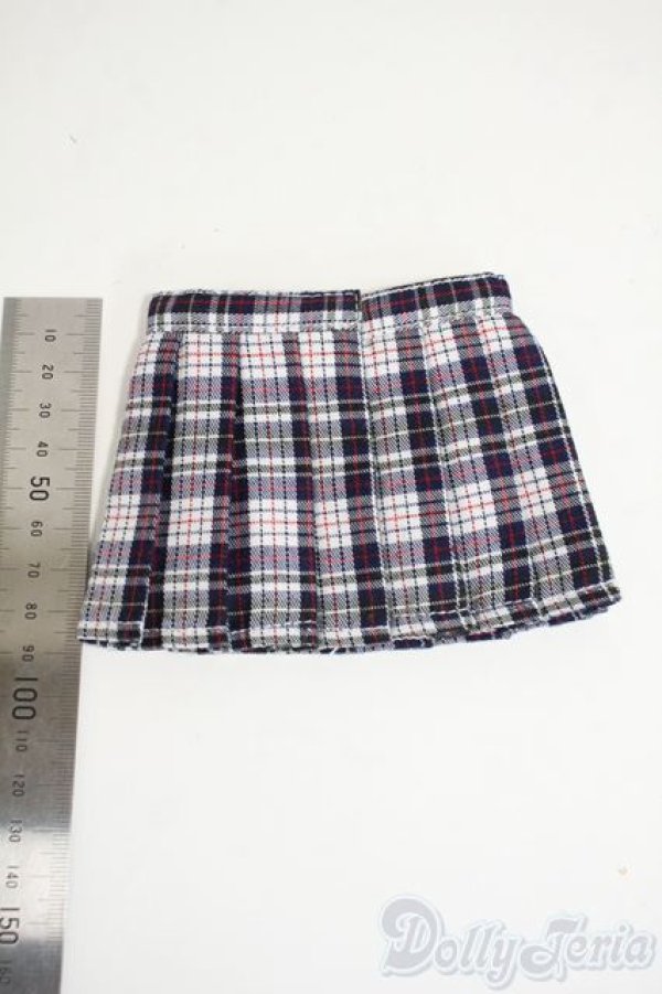 画像2: SDM＆MSD/OF:スカート Y-26-02-11-072-WT-ZY (2)