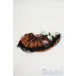 画像: SDM＆MSD/OF:スカート Y-26-02-11-073-WT-ZY