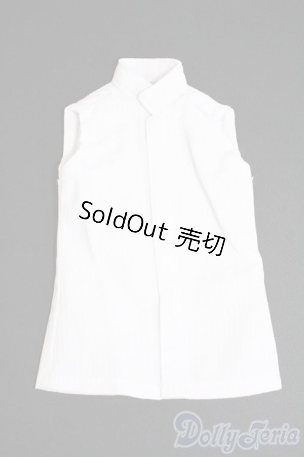 画像1: SDM&MSD/OF:トップス Y-26-02-11-076-WT-ZY (1)