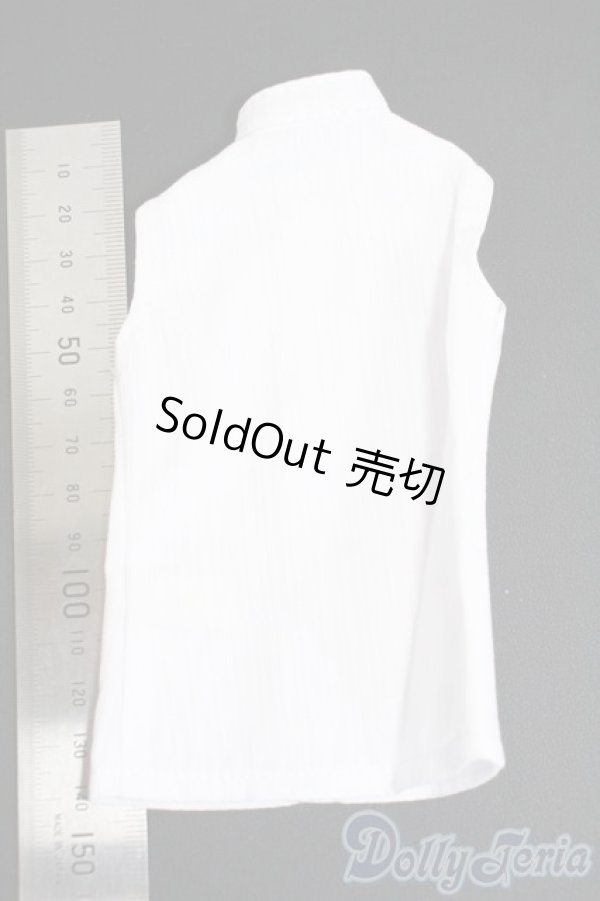 画像2: SDM&MSD/OF:トップス Y-26-02-11-076-WT-ZY (2)