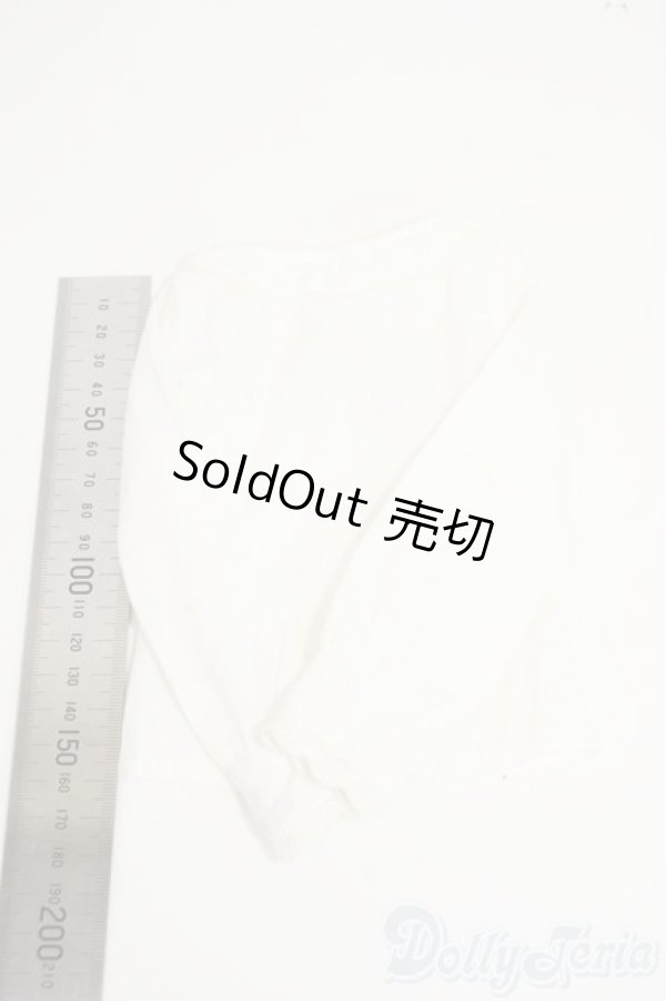 画像2: SD/OF:トップス Y-26-02-11-094-WT-ZY (2)