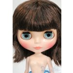 画像: ネオブライス/シーセイラーシー Y-26-02-11-114-WT-ZY