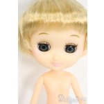 画像: おでこちゃんとニッキ/アンドゥトロワのおでこちゃん Y-26-02-11-117-WT-ZY