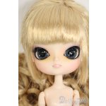 画像: ダル/サクラ Y-26-02-11-118-WT-ZY