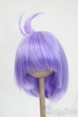 画像1: 8-9inch/ウィッグ Y-26-02-11-112-WT-ZY (1)