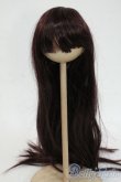 画像1: 8-9inch/ウィッグ Y-26-02-11-111-WT-ZY (1)