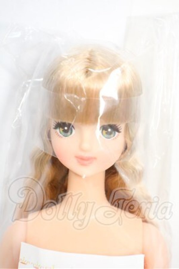 画像1: キャッスル/たまき:おたのしみドール Y-26-03-18-222-WT-ZY (1)