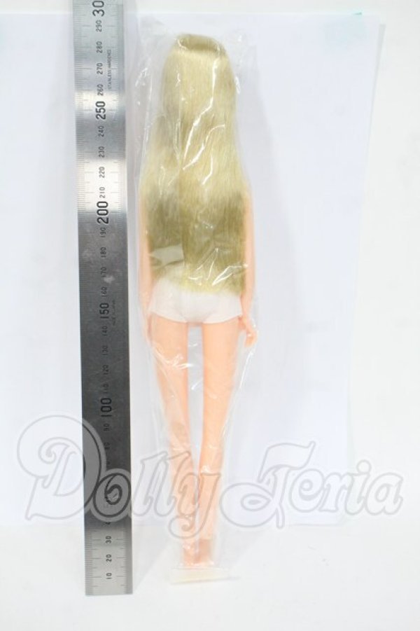 画像3: リカちゃんキャッスル/みらい　おたのしみドール Y-26-03-25-167-WT-ZY (3)