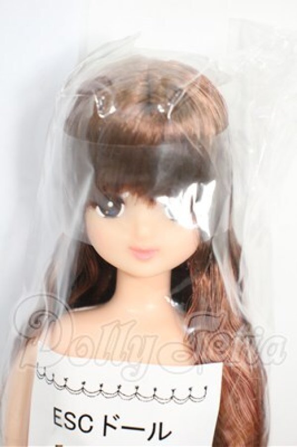 画像1: リカちゃん/ESCドール　みほちゃん Y-26-03-18-217-WT-ZY (1)