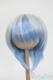 画像1: 8-9inch/ウィッグ Y-26-02-11-276-WT-ZY (1)