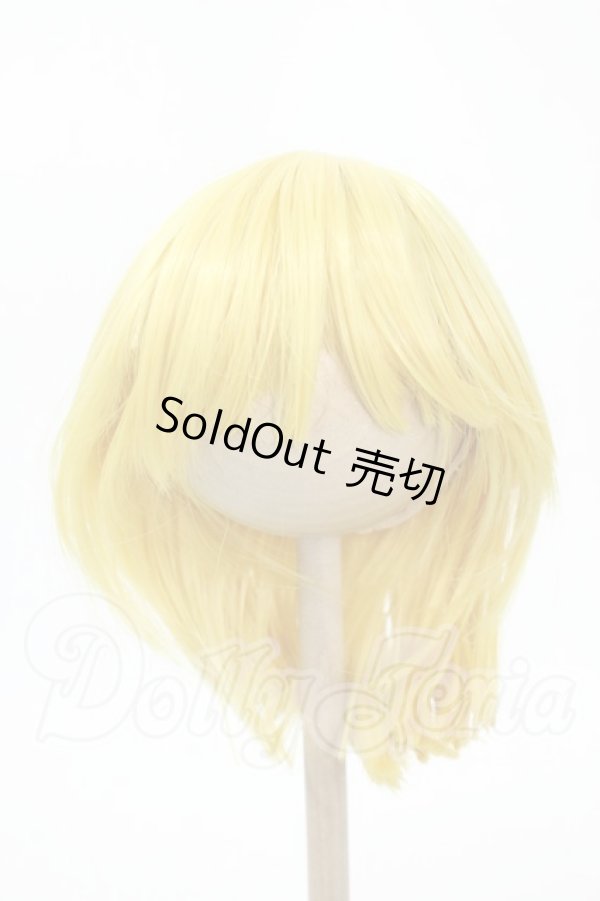画像1: 8-9inch/ウィッグ Y-26-02-18-171-WT-ZY (1)