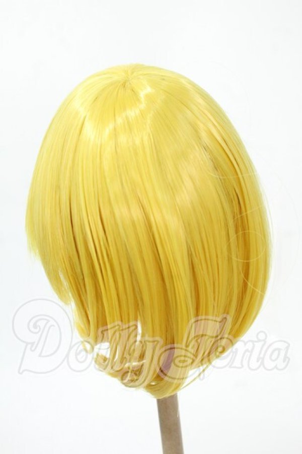 画像2: 8-9inch/ウィッグ Y-26-02-18-171-WT-ZY (2)