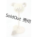 画像: 6-7inch/けもみみウィッグ+尻尾セット Y-26-02-18-126-WT-ZY