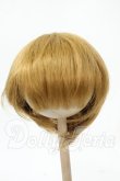 画像1: 9-10inch/ウィッグ Y-26-02-18-187-WT-ZY (1)