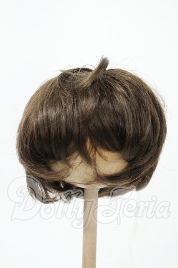 画像1: 8-9inch/ウィッグ Y-26-02-18-198-WT-ZY (1)