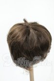 画像2: 8-9inch/ウィッグ Y-26-02-18-198-WT-ZY (2)