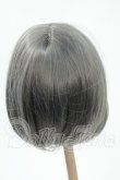 画像2: 8-9inch/ウィッグ Y-26-02-18-155-WT-ZY (2)