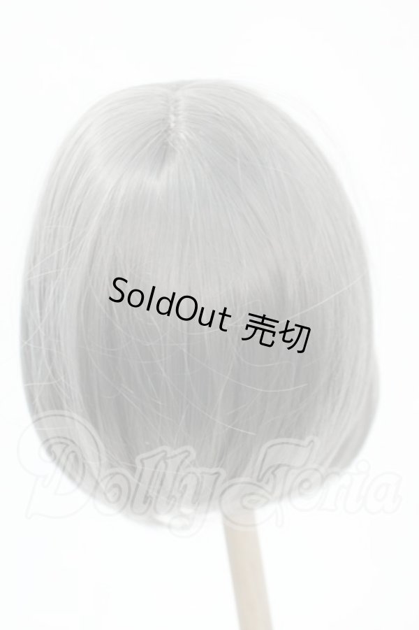 画像2: 8-9inch/ウィッグ Y-26-02-18-155-WT-ZY (2)