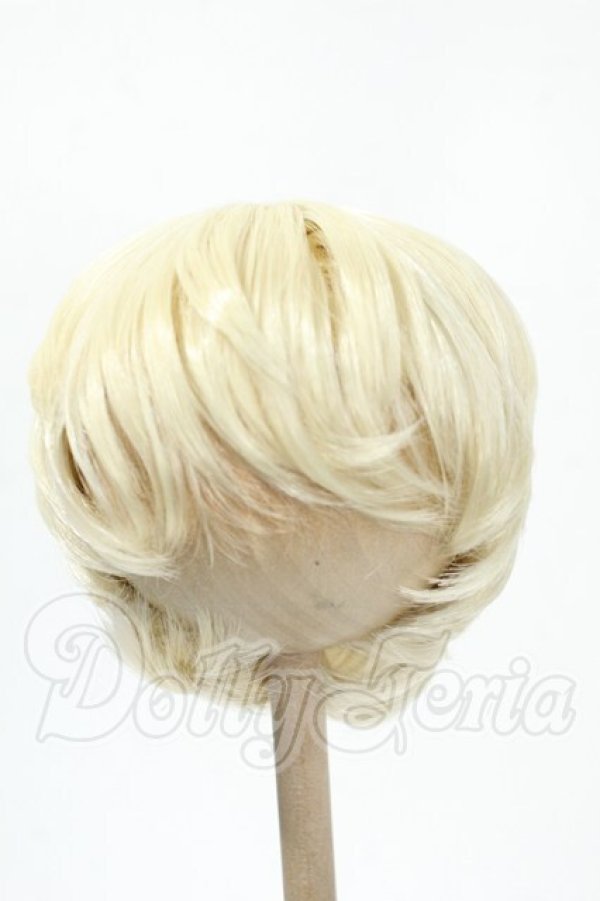 画像1: 8-9inch/ウィッグ Y-26-02-18-156-WT-ZY (1)