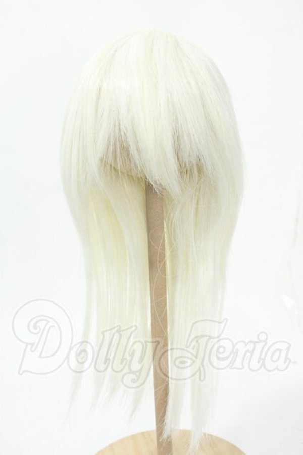 画像1: 8-9inch/ウィッグ Y-26-02-18-158-WT-ZY (1)