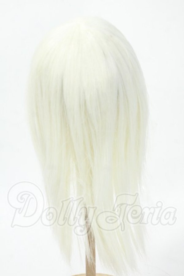 画像2: 8-9inch/ウィッグ Y-26-02-18-158-WT-ZY (2)