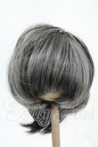 画像1: 8-9inch/ウィッグ Y-26-02-18-160-WT-ZY (1)
