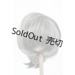 画像: 8-9inch/ウィッグ Y-26-02-18-160-WT-ZY