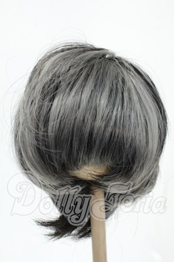 画像1: 8-9inch/ウィッグ Y-26-02-18-160-WT-ZY (1)