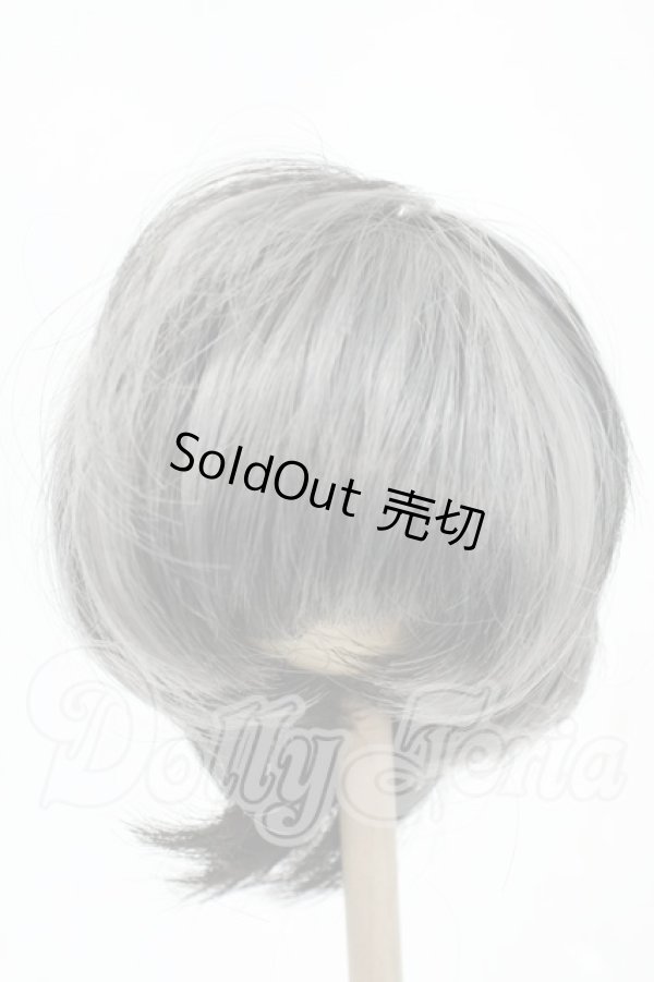 画像1: 8-9inch/ウィッグ Y-26-02-18-160-WT-ZY (1)