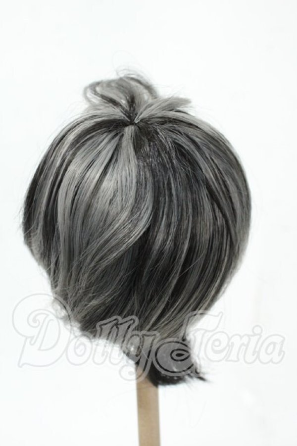 画像2: 8-9inch/ウィッグ Y-26-02-18-160-WT-ZY (2)