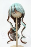 画像1: 8-9inch/ウィッグ Y-26-02-18-170-WT-ZY (1)