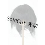 画像: 8-9inch/ウィッグ Y-26-02-18-173-WT-ZY