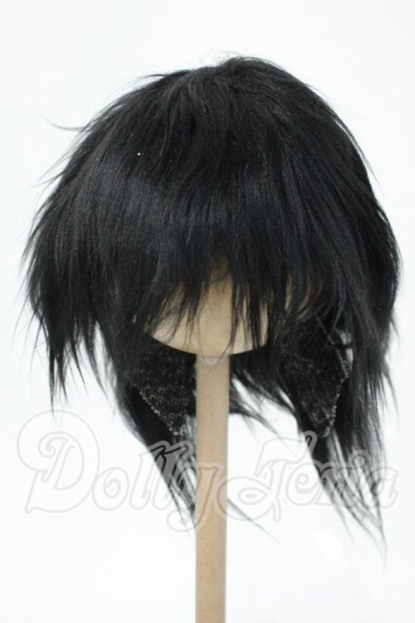 画像1: 8-9inch/ウィッグ Y-26-02-18-173-WT-ZY (1)