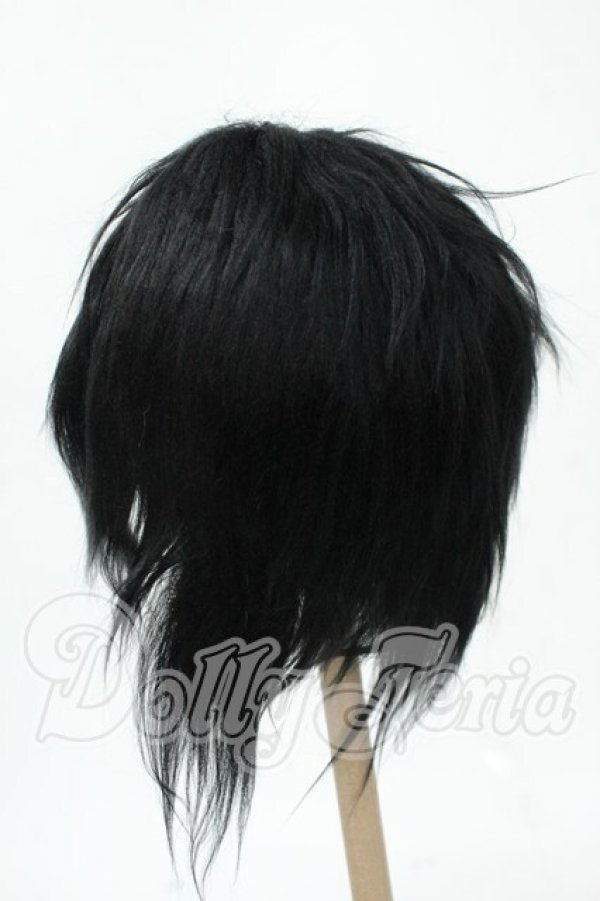 画像2: 8-9inch/ウィッグ Y-26-02-18-173-WT-ZY (2)