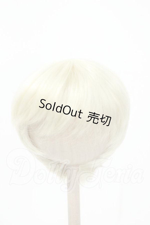 画像1: 8-9inch/ウィッグ Y-26-02-18-178-WT-ZY (1)