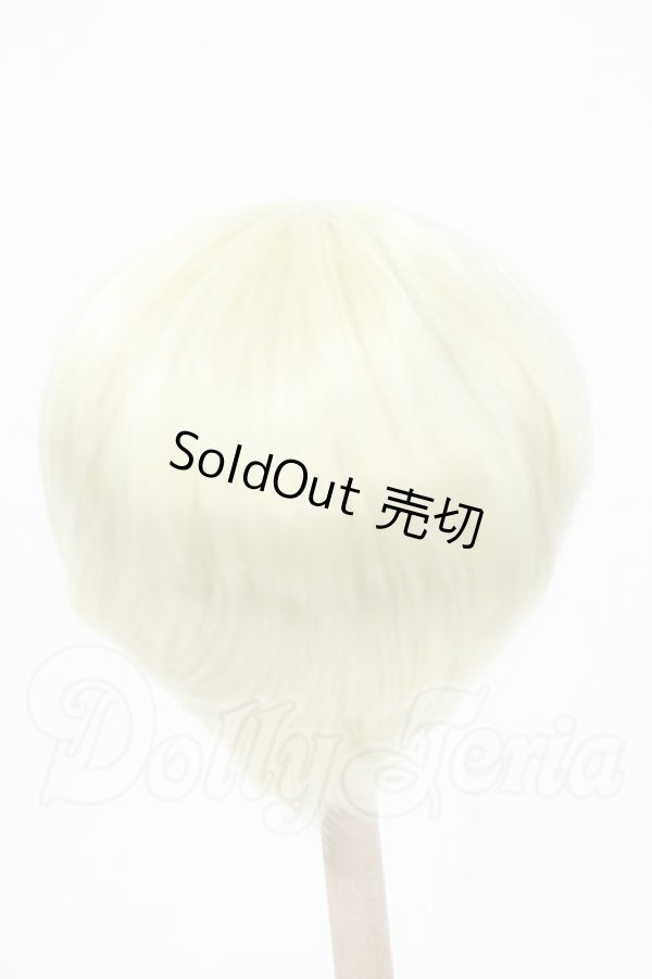 画像2: 8-9inch/ウィッグ Y-26-02-18-178-WT-ZY (2)