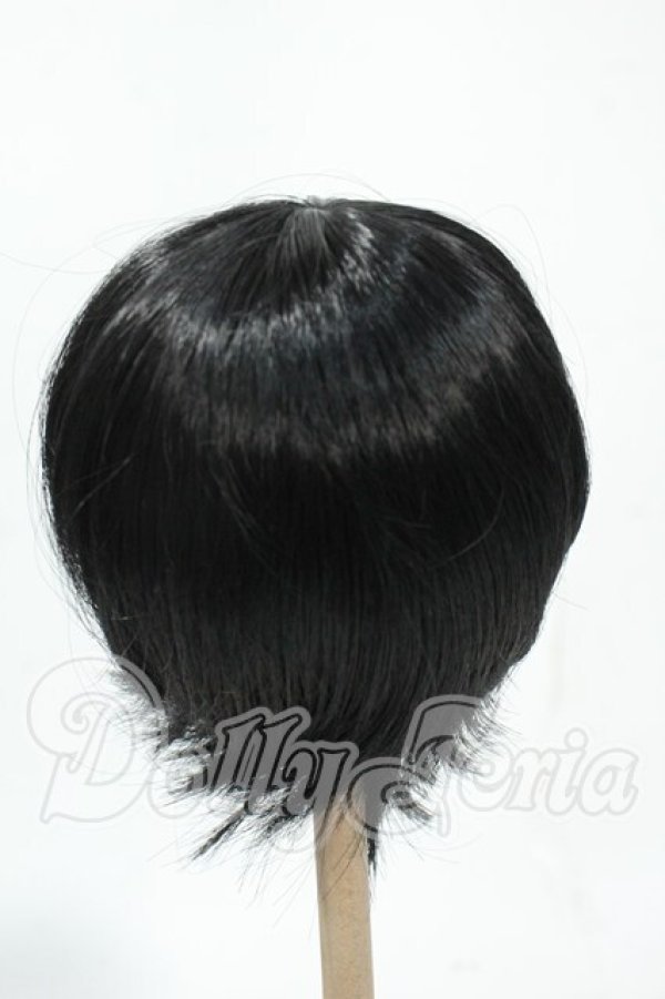 画像2: 9inch/ウィッグ Y-26-02-18-128-WT-ZY (2)