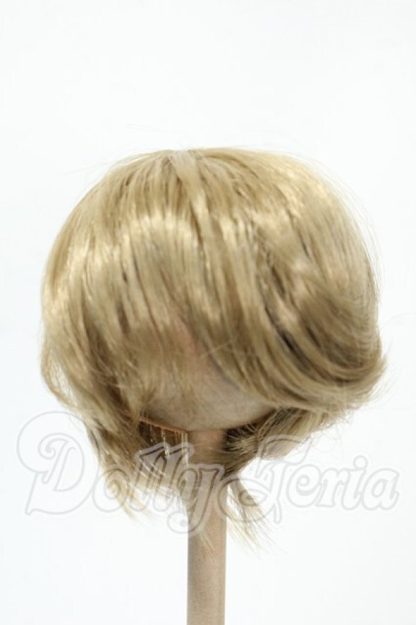 画像1: 7-8inch/ウィッグ Y-26-02-18-146-WT-ZY (1)
