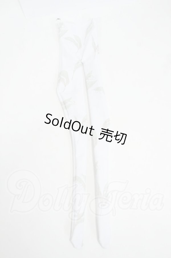 画像1: SD/OF:タイツ Y-26-03-18-111-WT-ZY (1)
