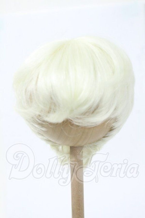 画像1: 8-8.5inch/ウィッグ Y-26-03-04-207-WT-ZY (1)