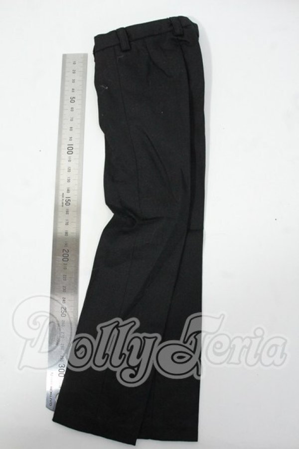 画像2: SD/OF:パンツ Y-26-03-04-228-WT-ZY (2)