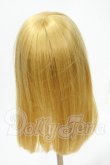 画像2: 9-10inch/ウィッグ Y-26-02-18-180-WT-ZY (2)